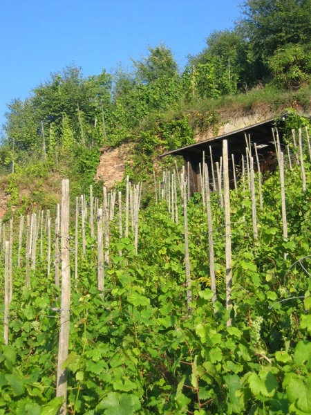 Datei:Landschaft 13.jpg
