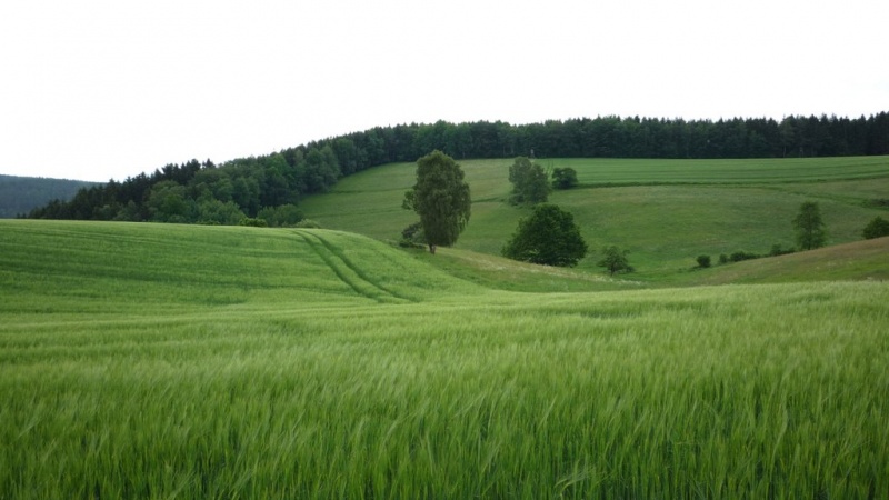 Datei:Landschaft 16.jpg