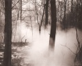Nebel 3.jpg