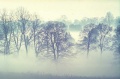 Nebel 2.jpg