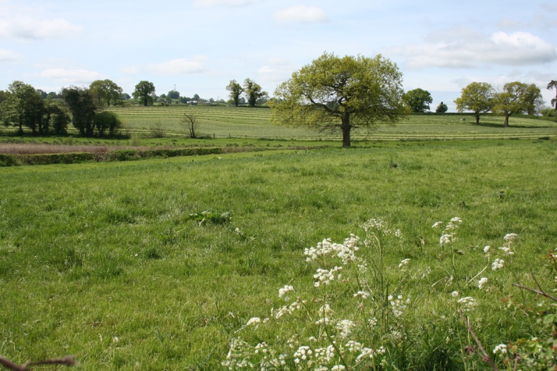 Datei:Landschaft 18.jpg