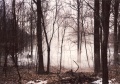 Nebel 5.jpg